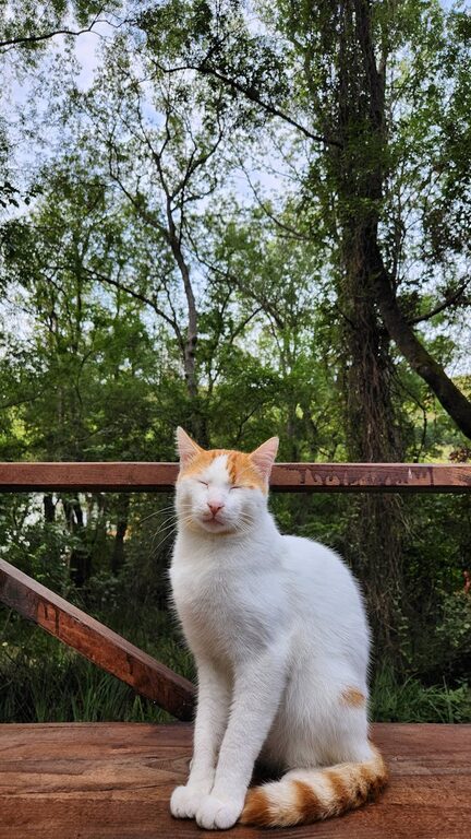 Come organizzare un weekend senza stress: guida pratica